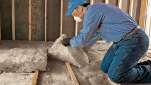 Types of Insulation We Offer in Bonadelle Ranchos, CA